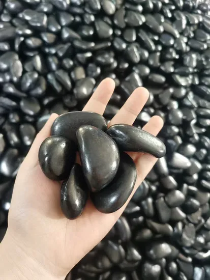 Supply Polished White Pebble for Landscape Garden Aquarium 
