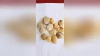 High Quality Natural Cobble River Stone Oval River Stone Pebbles 