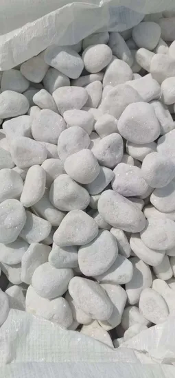 Natural Rocks River White Pebble Tumbled Finish for Flooring Garden Decoration Landscaping 