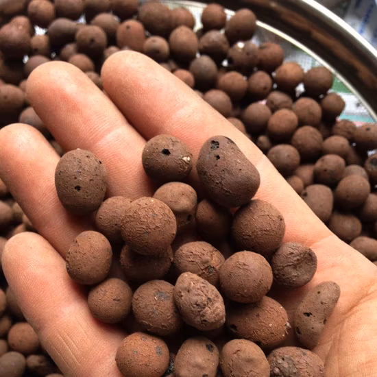 Expanded Clay Pebbles / Leca for Hydroponic Aquaponic System